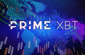 Exploring PrimeXBT Forex A Comprehensive Guide for Traders Exploring PrimeXBT Forex A Comprehensive Guide for Traders